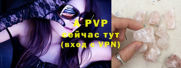 прущие грибы Покачи