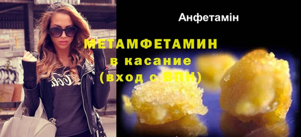 прущие грибы Покачи