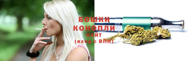 молекула духа Верхний Тагил