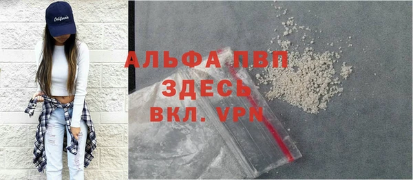прущие грибы Покачи