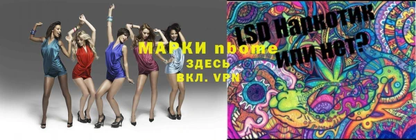 прущие грибы Покачи