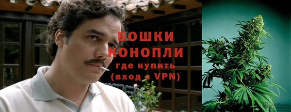 стафф Бородино