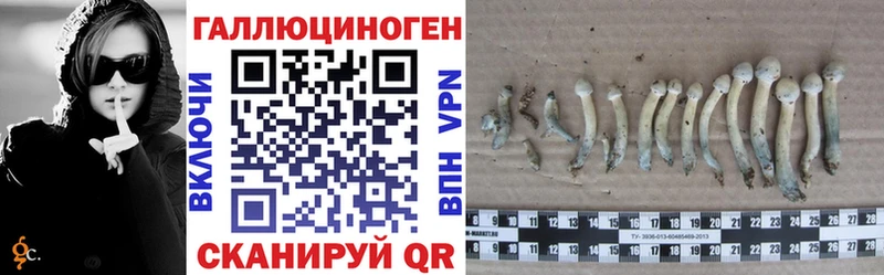 Псилоцибиновые грибы прущие грибы  darknet как зайти  Лысьва  закладка 